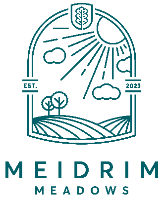 Meidrim Meadows logo (teal)